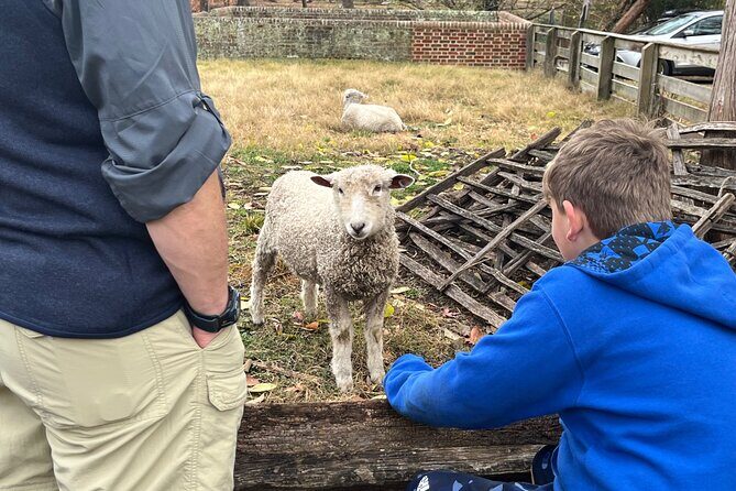 Exclusive Private Colonial Williamsburg Walking Tour by a Local - A Detailed Look at the Experience