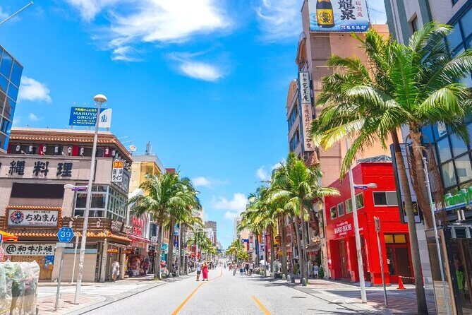 Exclusive Private Full Day Okinawa Island Tour with a Local Guide - An In-Depth Look at the Okinawa Private Tour