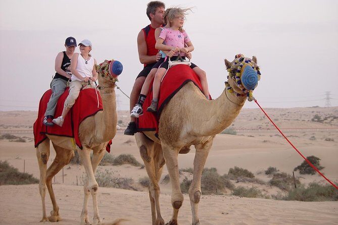 Exclusive Private Morning Desert Safari Adventure in Dubai - Exploring the Dubai Desert Safari Experience