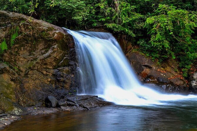 Exclusive Rainforest Tour Capped with a Refreshing Waterfall Dip - Exploring the Itinerary: What You Can Expect