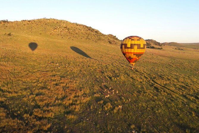 Exclusive Safari Flight - An Honest Look at the Exclusive Safari Flight in Johannesburg