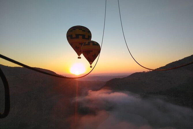 Exclusive Safari Flight - Key Points