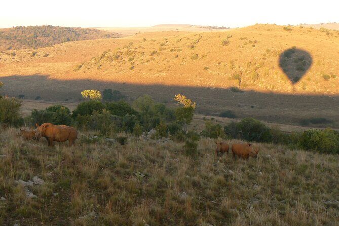 Exclusive Safari Flight - Who Is This Tour Perfect For?