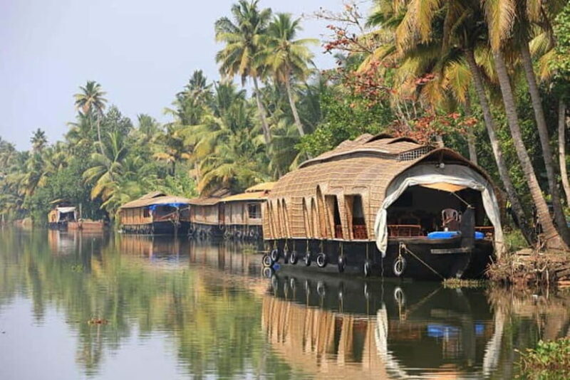 Exclusive Same Day Kerala Houseboat Cruise Tour in Alleppey - The Sum Up: Who Will Love This Tour?