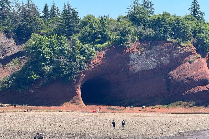 Exclusive Sightseeing Tour in Saint John - Comprehensive Review of the Exclusive Sightseeing Tour in Saint John