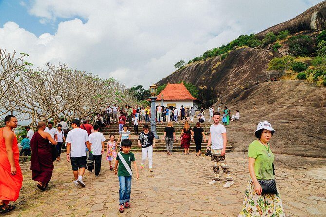 Exclusive : Sigiriya Rock Fortress and Dambulla Cave Temple Tour - The Sum Up