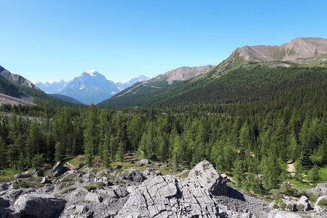 Exclusive Skoki Backcountry Guided Hiking in Lake Louise with Van Shuttle - A Closer Look at the Itinerary