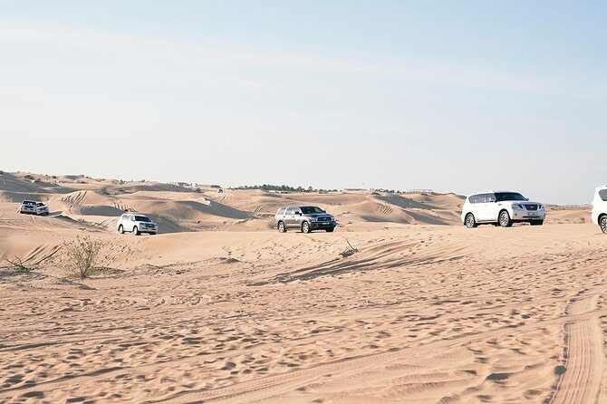 Exclusive Sunrise Desert Safari with Camel Ride Sand Boarding Dune Bashing - The Sum Up