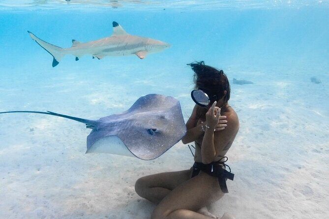 Exclusive sunset excursion in the lagoon Shark rays - Detailed Breakdown of the Experience