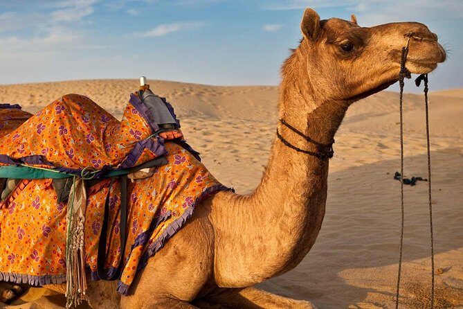 Exclusive Tangier City Tour Private Experience - A Detailed Breakdown of the Itinerary