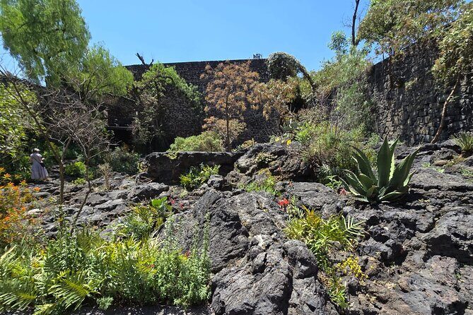 EXCLUSIVE TOUR Luis Barragán - Casa Pedregal - FAQ