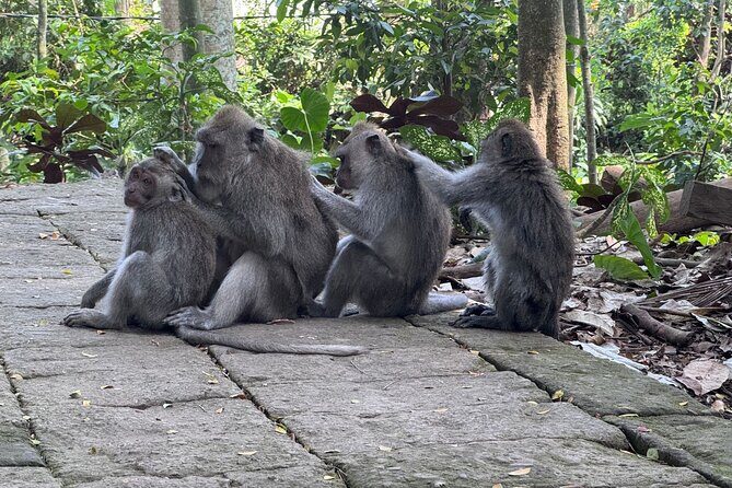 Exclusive Ubud Experience: Nature, Culture & Adventure in One Day - Tegenungan Waterfall: Discover a Hidden Jungle Waterfall