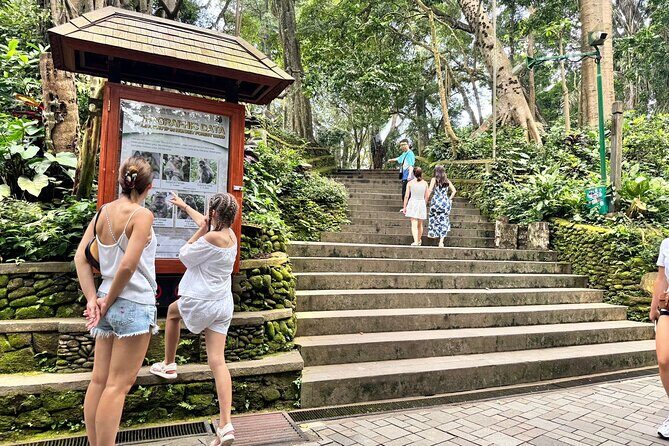 Exclusive Ubud Experience: Nature, Culture & Adventure in One Day - Sacred Monkey Forest Sanctuary: Playful Wildlife & Forest Walk