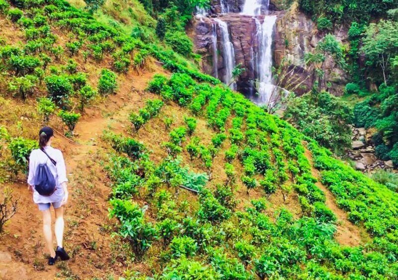 Exclusive : Village Trekking Tour at Ramboda - FAQ