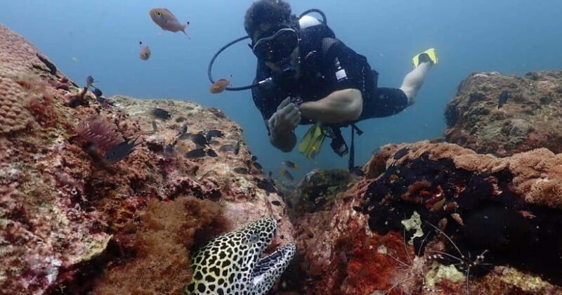 Exclusive Whale & Dolphin Tours in Sri Lanka: Trincomalee - Key Points