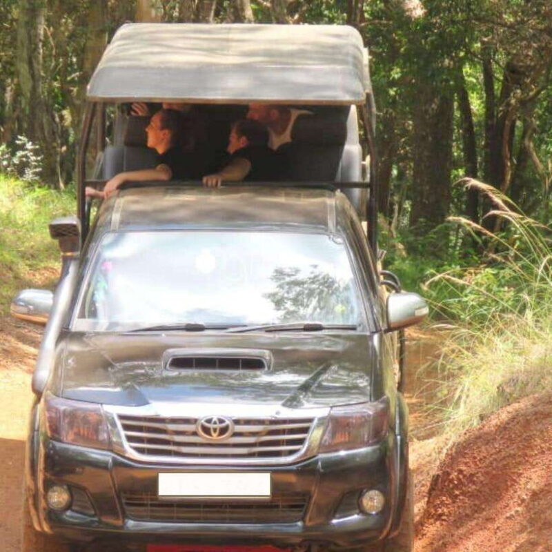 Exclusive : Wildlife Full Day Adventure in Wilpattu - Discovering Wilpattu: The Heart of Sri Lanka’s Wilderness