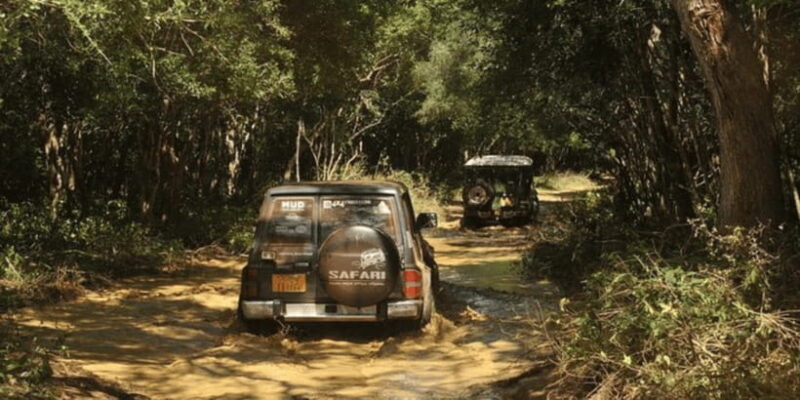 Exclusive : Wildlife Full Day Adventure in Wilpattu - What You’ll Experience