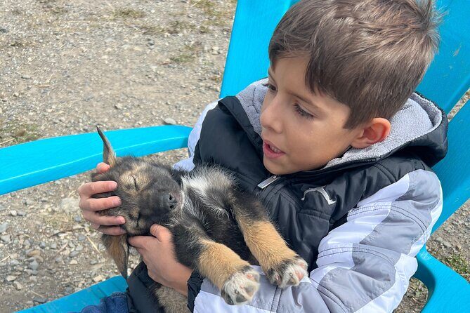 Exclusive Yukon Full-Day Tour with Dog Mushing Adventure - A Closer Look at the Itinerary