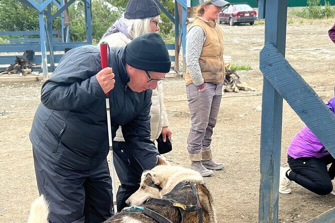 Exclusive Yukon Full-Day Tour with Dog Mushing Adventure - Frequently Asked Questions