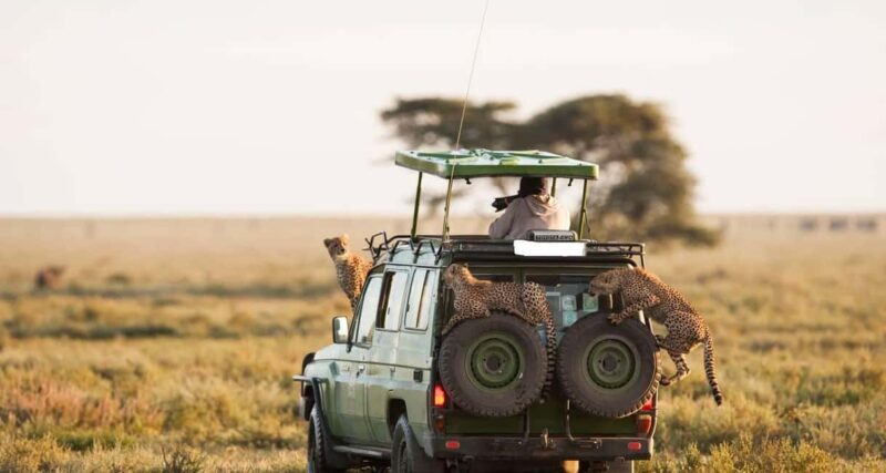 Excursion at the Iconic Amboseli National Park - The Details That Matter