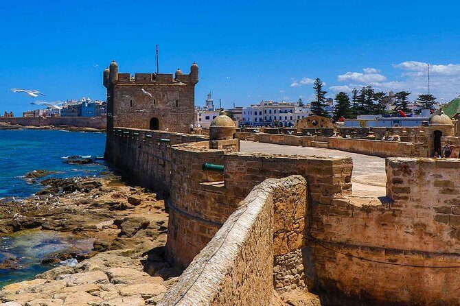 Excursion Essaouira from Marrakech - Real Traveler Perspectives