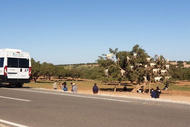Excursion Essaouira from Marrakech - The Sum Up
