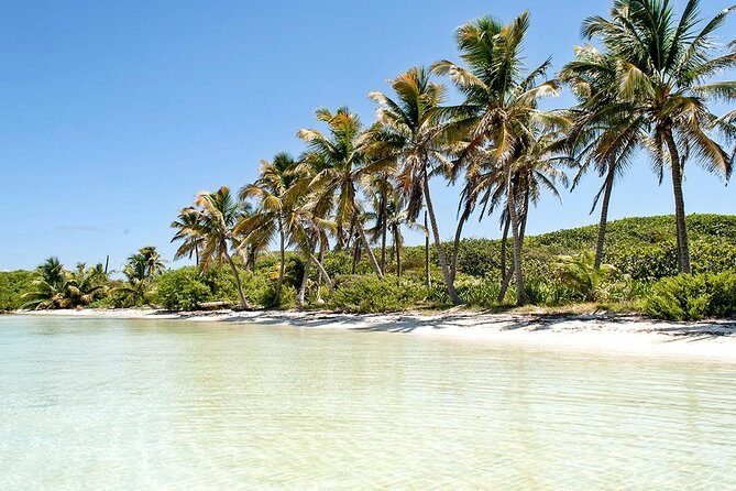 Excursion Isla Contoy & Isla Mujeres from Cancun - Detailed Review of the Experience