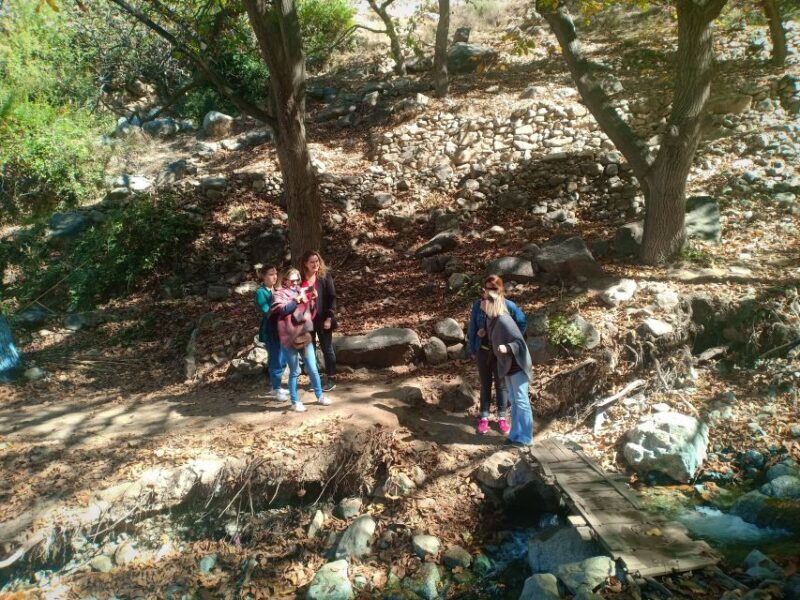 Excursion Ourika valley and atlas mountains - Who Should Consider This Tour?