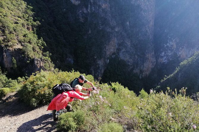 Excursion to Akchour's bridge of god (From Chefchaouen) - Authentic Traveler Insights