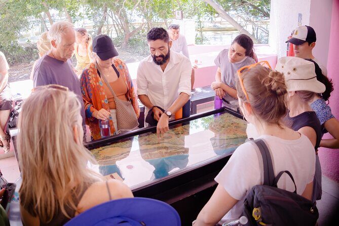 Excursion to Celestun Biosphere and Beach Day from Merida - The Sum Up
