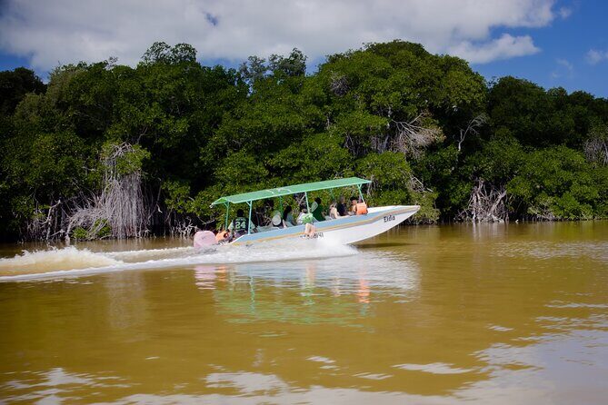 Excursion to Celestun Biosphere and Beach Day from Merida - FAQ