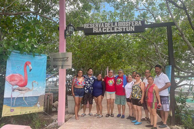 Excursion to Celestun, Swimming, Hiking & Boat Ride - A detailed look at what makes this tour special