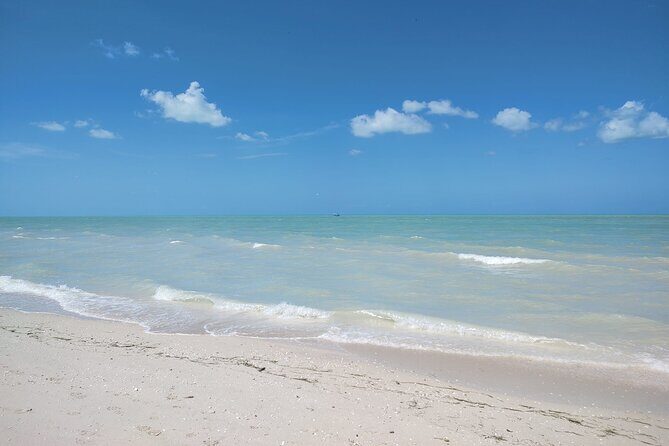Excursion to Celestun, Swimming, Hiking & Boat Ride - Practical tips for your trip