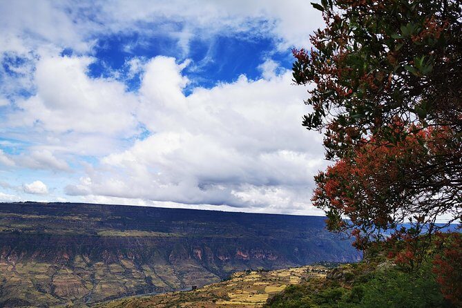 Excursion to Debre Libanos Monastery - Who Would Enjoy This Tour Most?