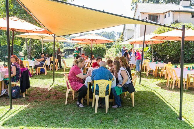 Excursion to Kiambethu Tea Farm - Who Will Love This Tour?