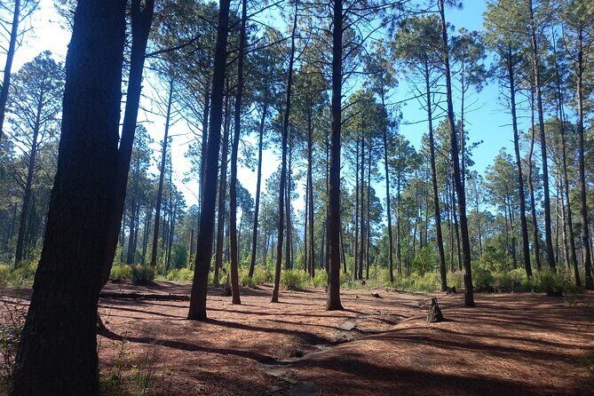 Excursion to La Cima de La Malinche from Mexico City - FAQ