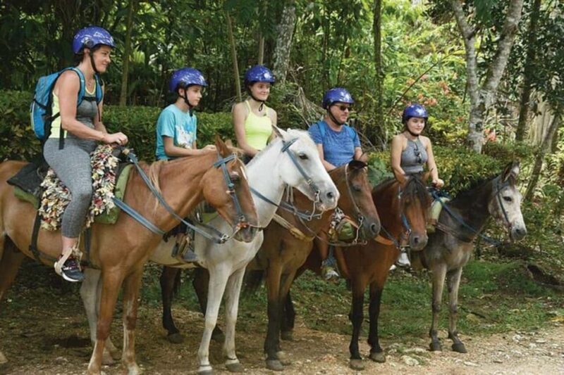 Excursion to Samaná, El Limón Waterfall and Bacardi Island from Punta Cana - What Reviewers Say