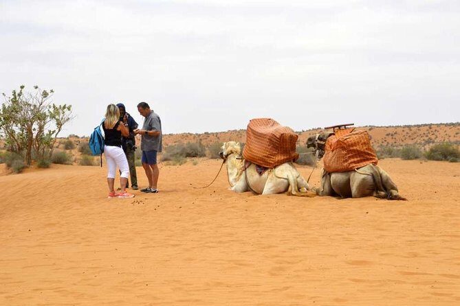 Excursion to the little Sahara, visit Tiznit, Tifnit, & Massa. - Key Points