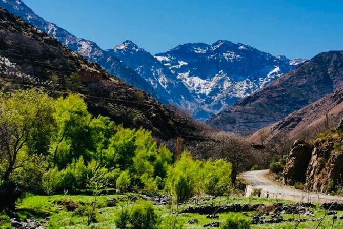 Excursion to the Ourika Valley and Berber villages - What Sets This Tour Apart?
