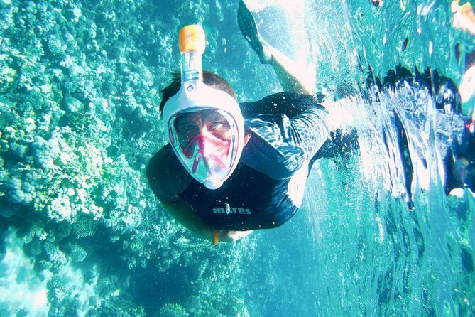 Excursion to Tiran Island by boat - Authentic Experiences from Travelers