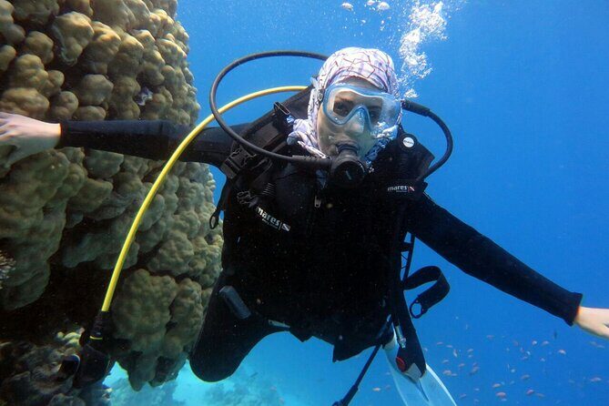 Excursion to Tiran Island by boat - The Sum Up