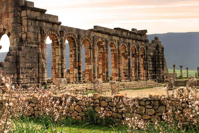 Excursions Volubilis - Moulay Idriss - Meknès (departure Fès) - Exploring the Itinerary: What You Can Expect