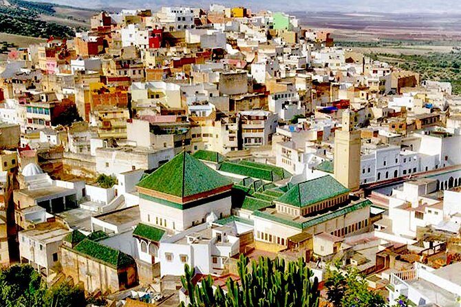 Excursions Volubilis - Moulay Idriss - Meknès (departure Fès) - Who Should Consider This Tour?