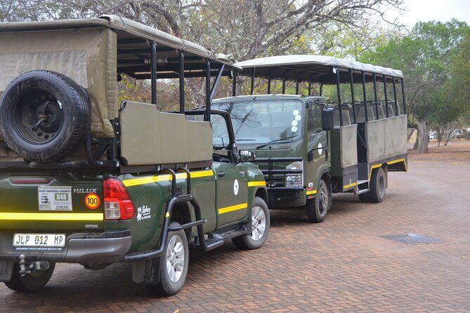 Exhilarating 7 Day Kruger Safari Adventure - South to North - Why This Tour Stands Out