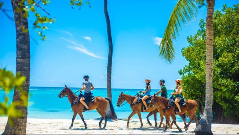 Exhilarating Buggy Tours: Discover Punta Cana Scenic Wonders - Practical Details and Tips