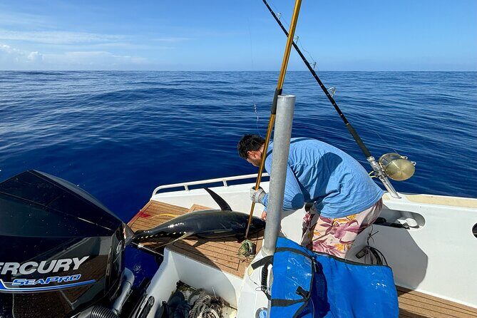 Exit fishing wholesale - Key Points