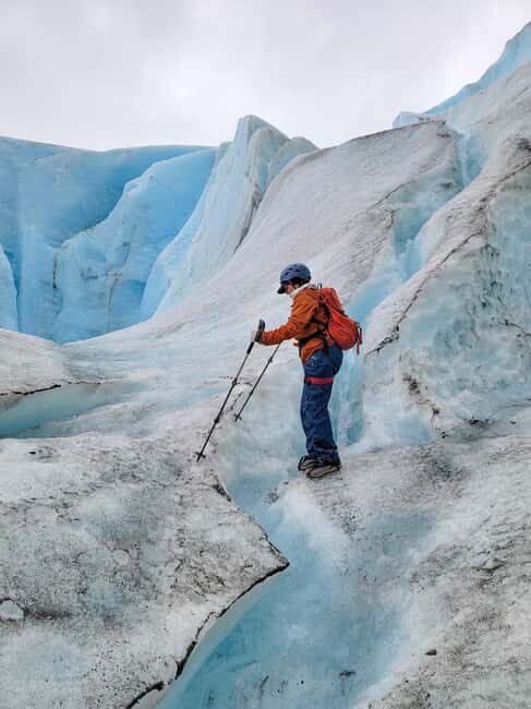 Exit Glacier Ice Hiking Adventure - Setting the Scene: What You Can Expect