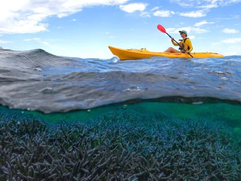 Exmouth: Half Day Coral by Kayak tour - Exploring the Tour in Depth: What to Expect on Your Day