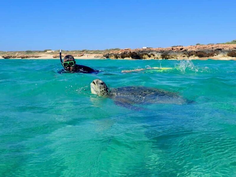 Exmouth: Half Day Turtle Kayak & Snorkel Tour - FAQ