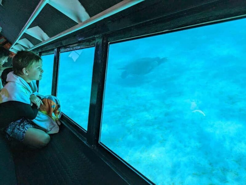 Exmouth: Ningaloo Semi-Submersible Glass Bottom Boat Tour - Final Thoughts